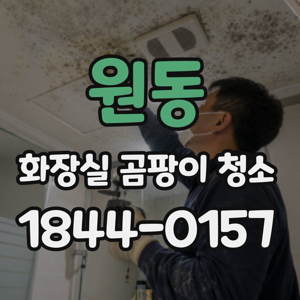 원동 화장실 곰팡이 청소