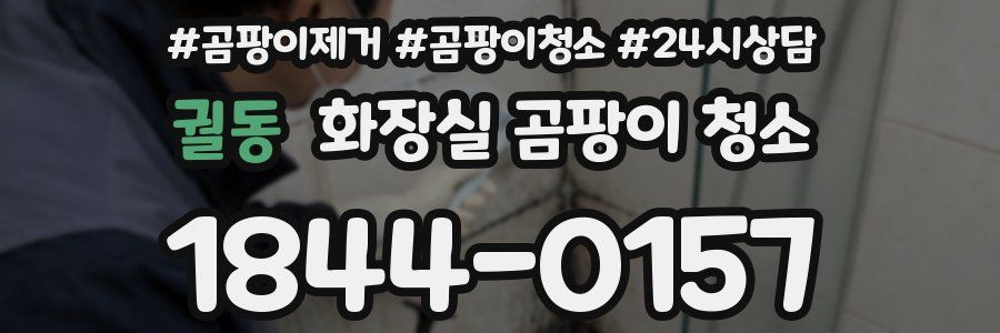 궐동 화장실 곰팡이 청소