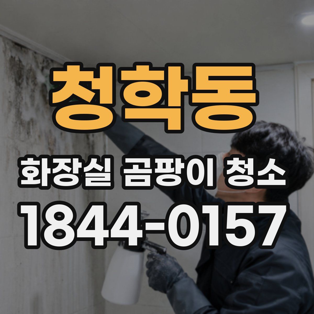 청학동 화장실 곰팡이 청소