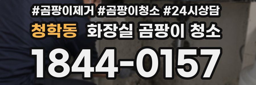 청학동 화장실 곰팡이 청소