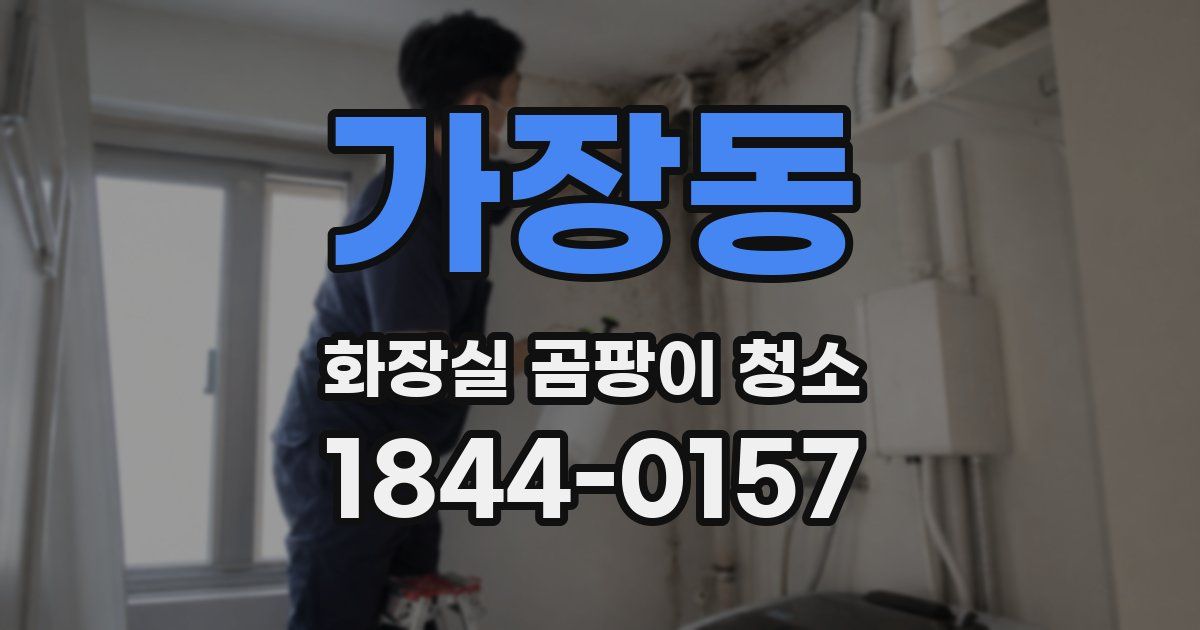 가장동 화장실 곰팡이 청소