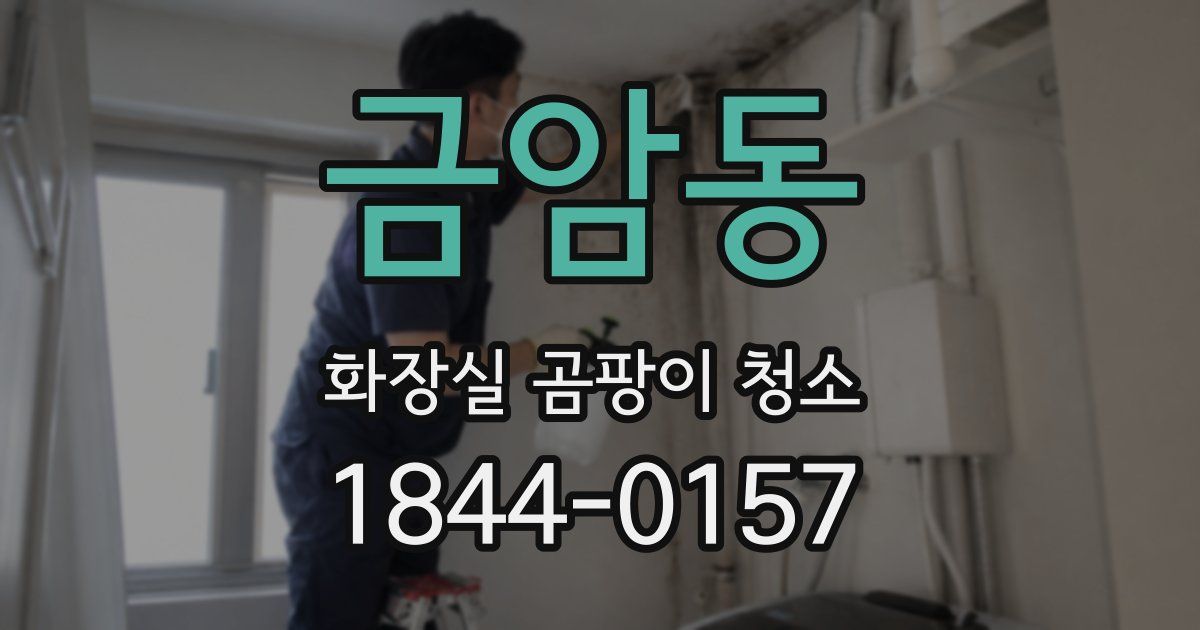 금암동 화장실 곰팡이 청소