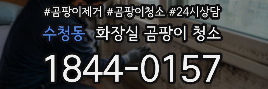 수청동 화장실 곰팡이 청소