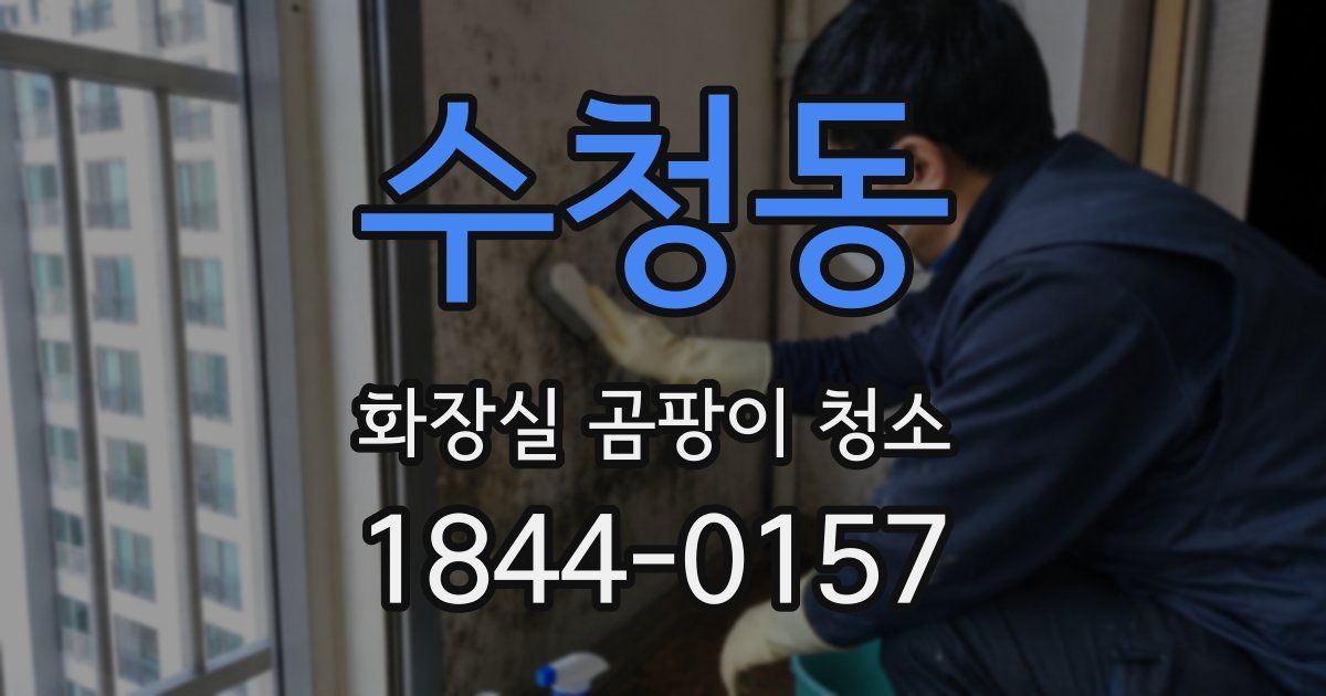 수청동 화장실 곰팡이 청소