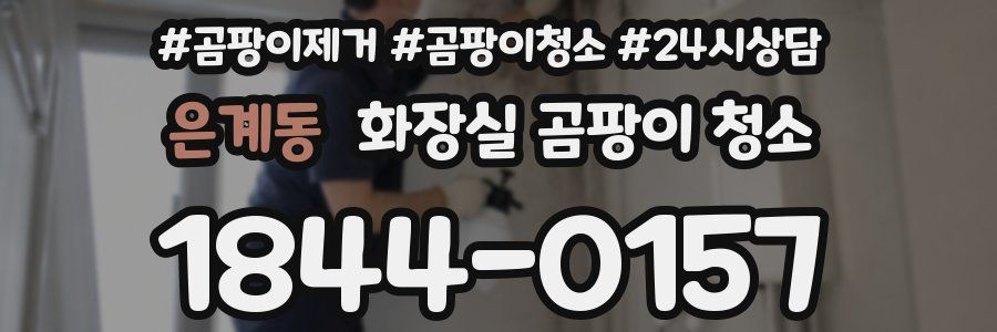 은계동 화장실 곰팡이 청소