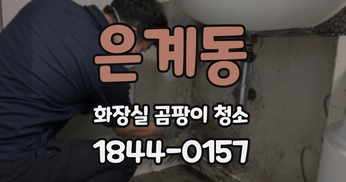 은계동 화장실 곰팡이 청소