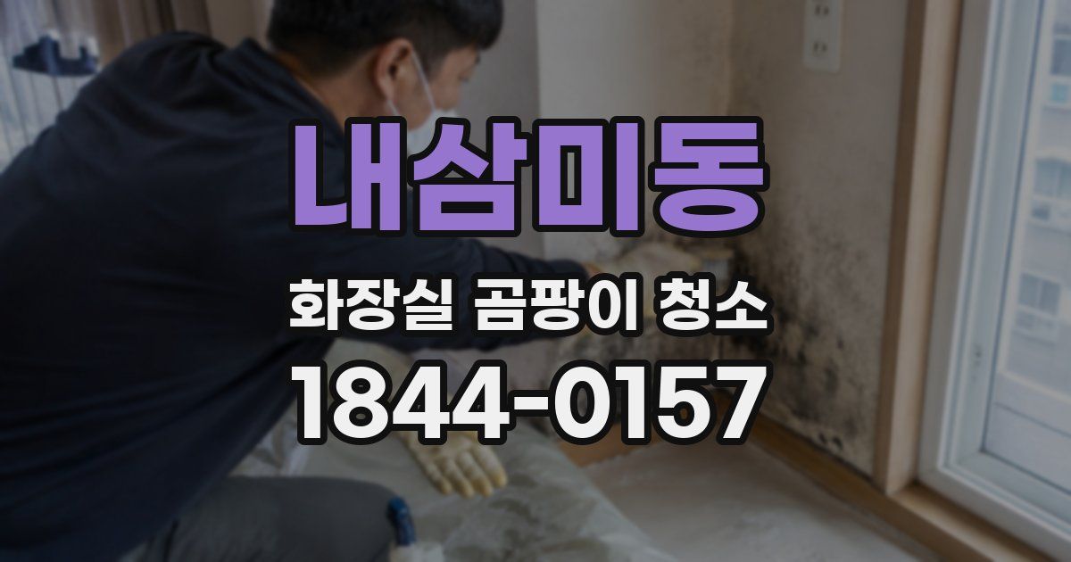 내삼미동 화장실 곰팡이 청소