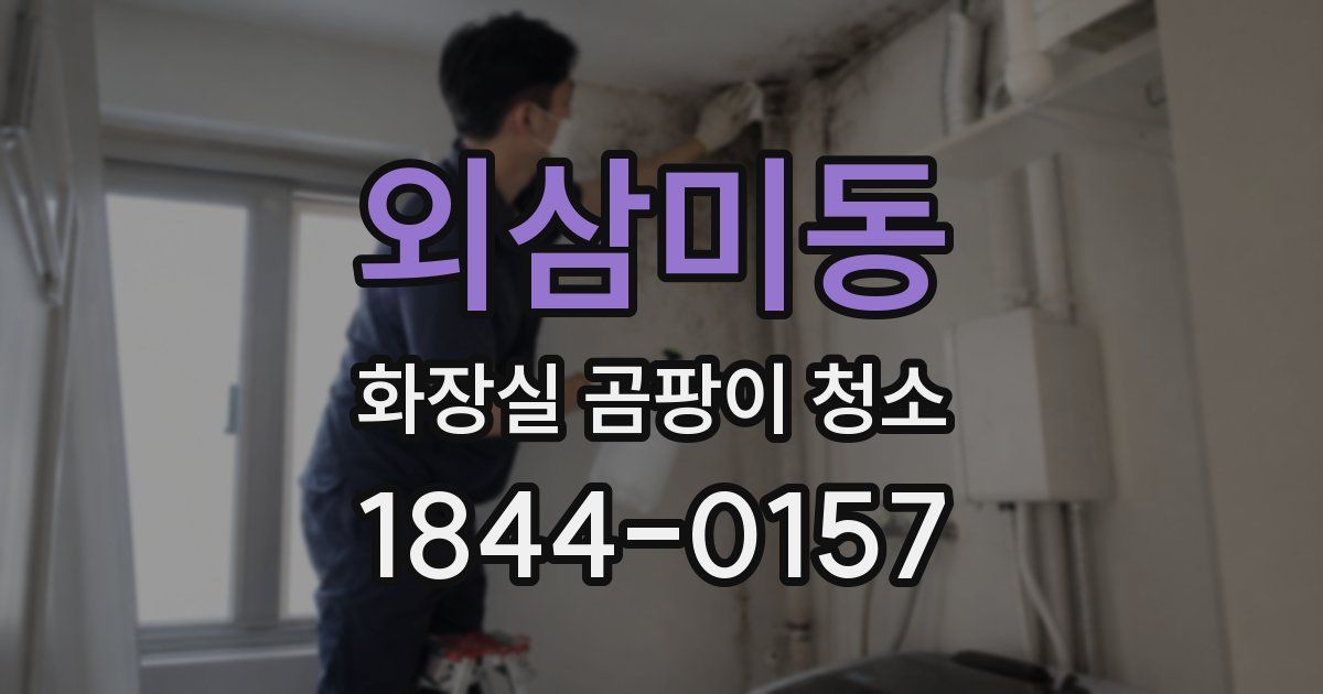 외삼미동 화장실 곰팡이 청소