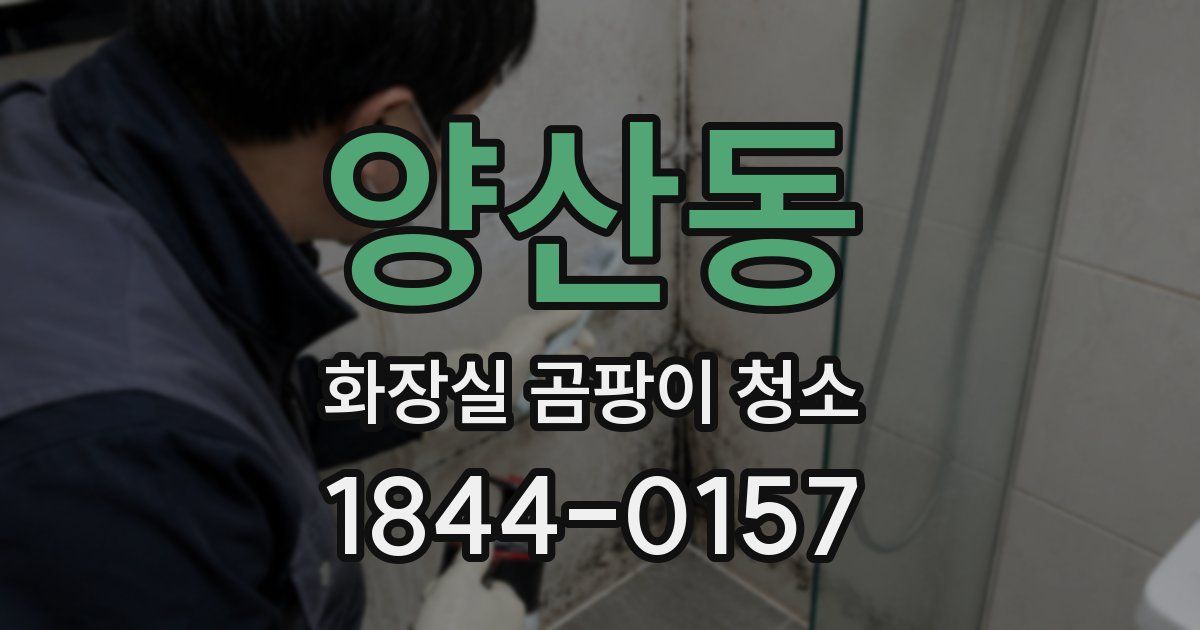양산동 화장실 곰팡이 청소