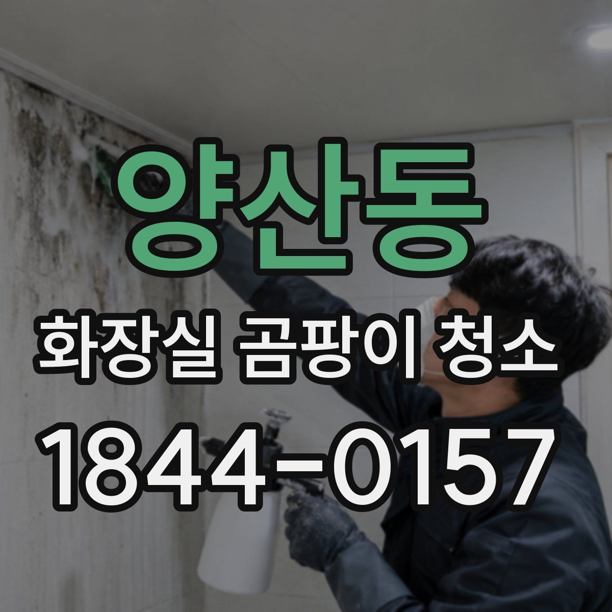 양산동 화장실 곰팡이 청소