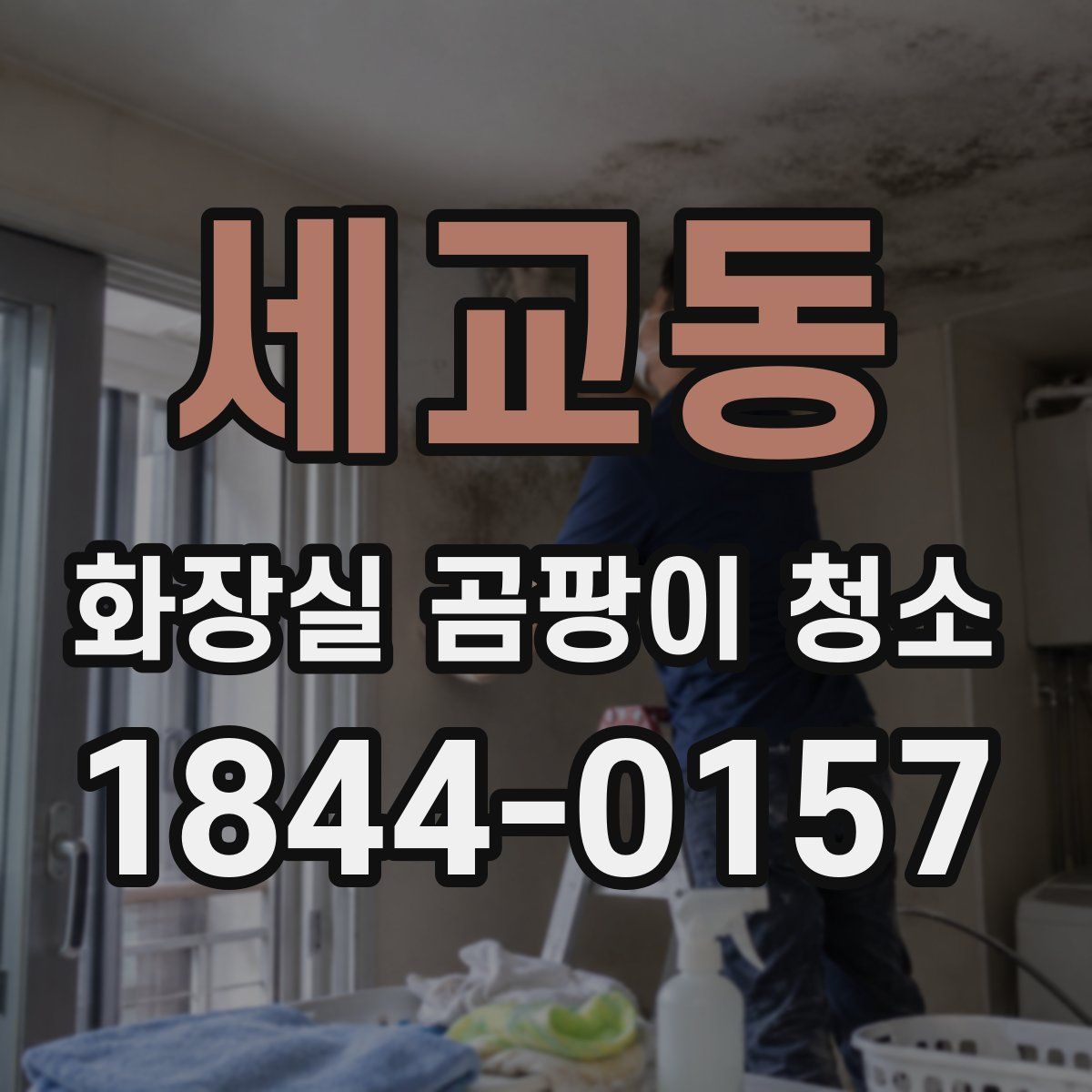 세교동 화장실 곰팡이 청소