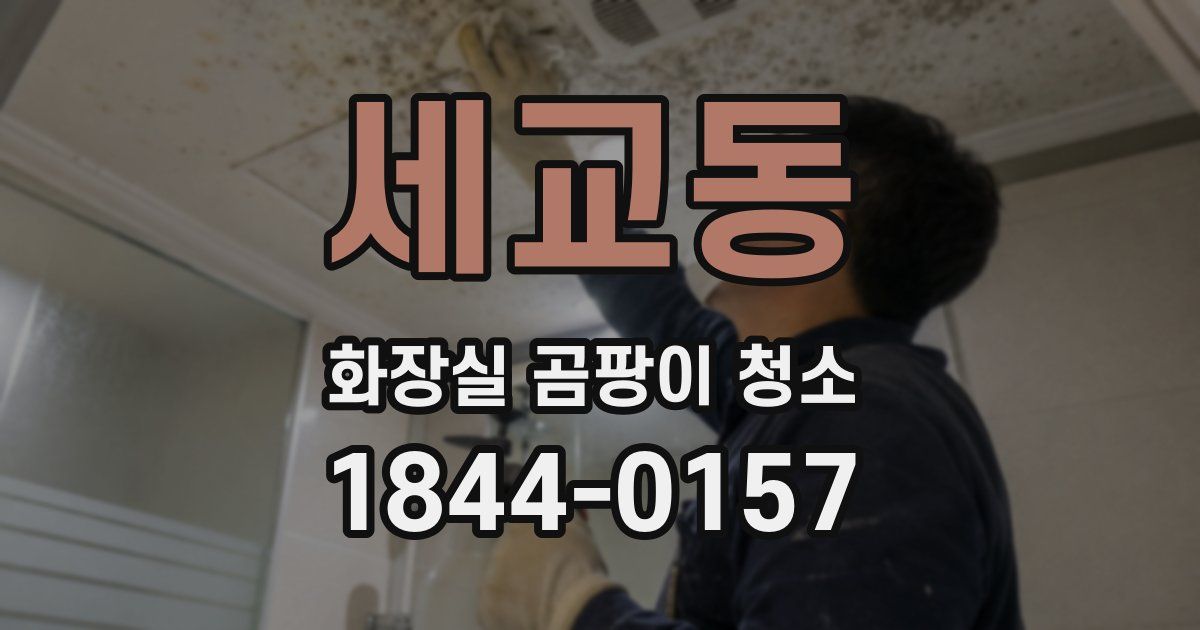세교동 화장실 곰팡이 청소
