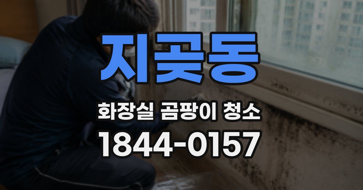 지곶동 화장실 곰팡이 청소