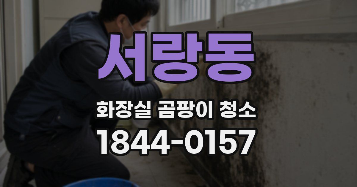 서랑동 화장실 곰팡이 청소