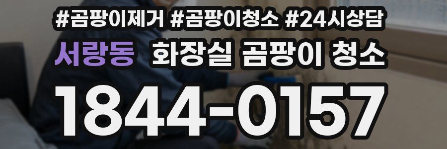 서랑동 화장실 곰팡이 청소