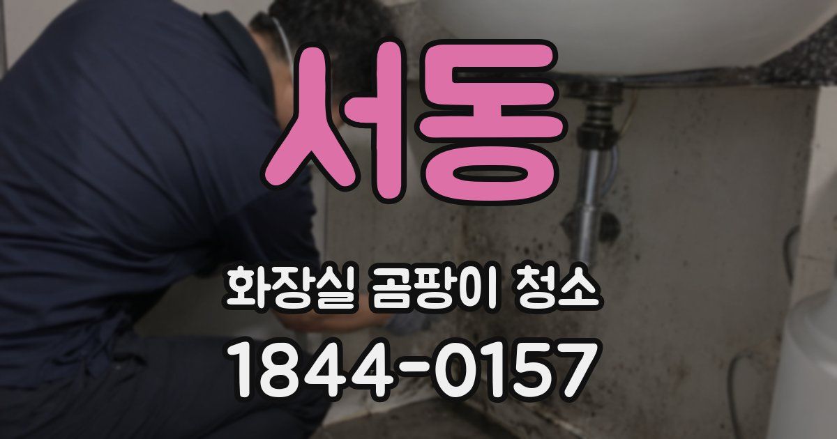 서동 화장실 곰팡이 청소