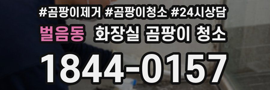 벌음동 화장실 곰팡이 청소