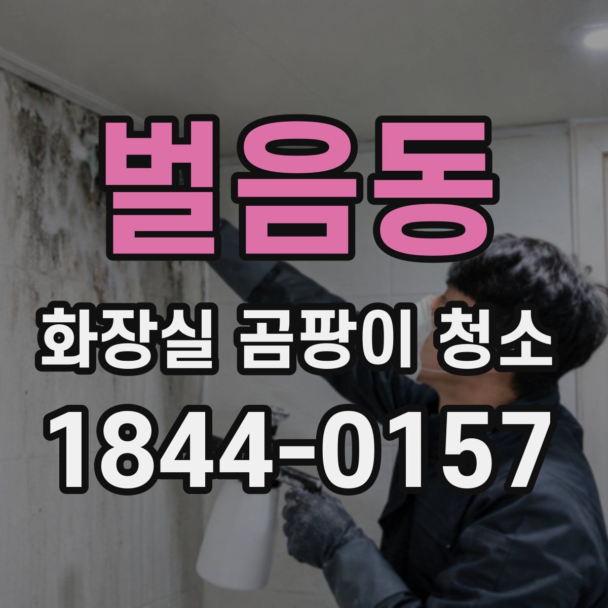 벌음동 화장실 곰팡이 청소