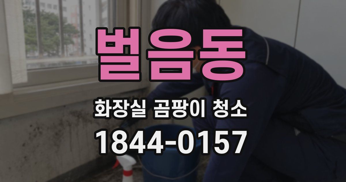 벌음동 화장실 곰팡이 청소