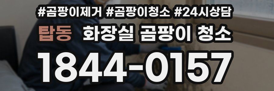 탑동 화장실 곰팡이 청소