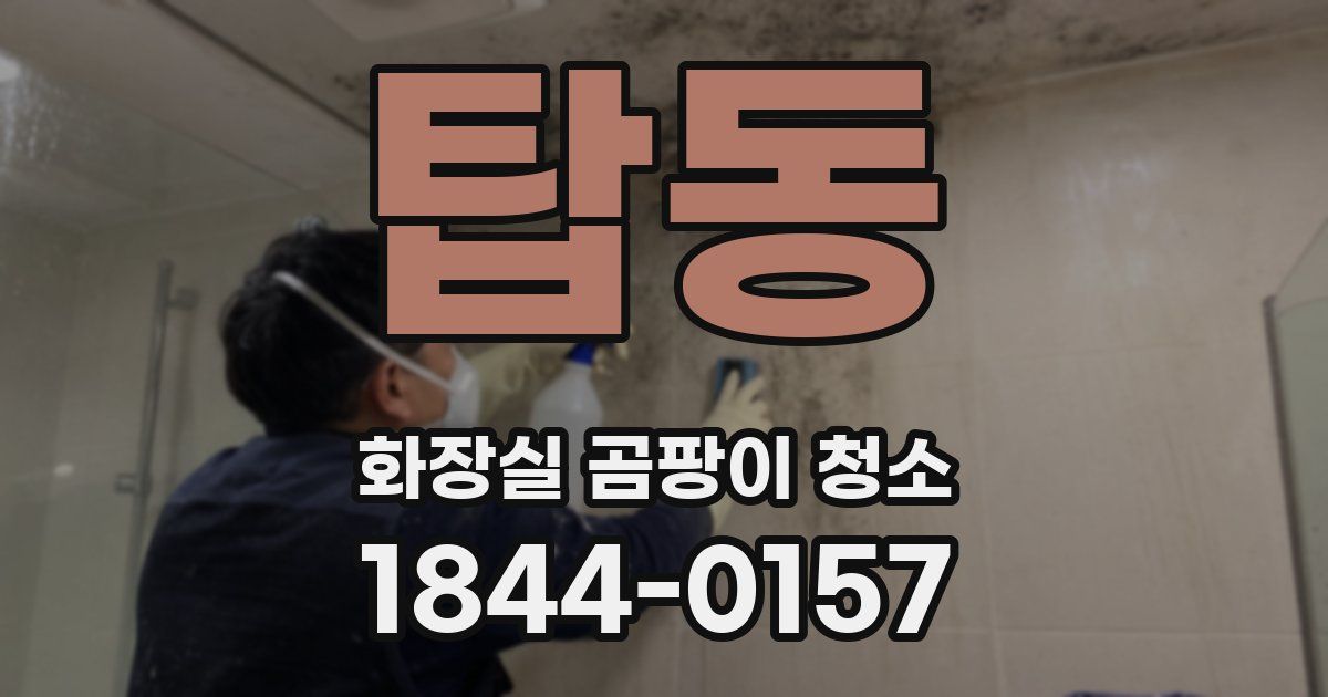 탑동 화장실 곰팡이 청소
