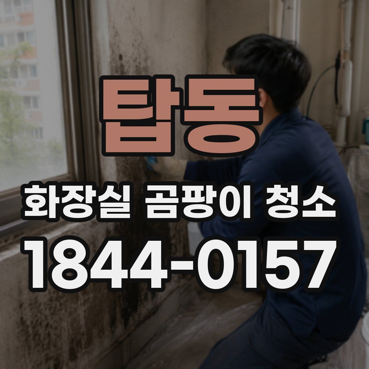탑동 화장실 곰팡이 청소