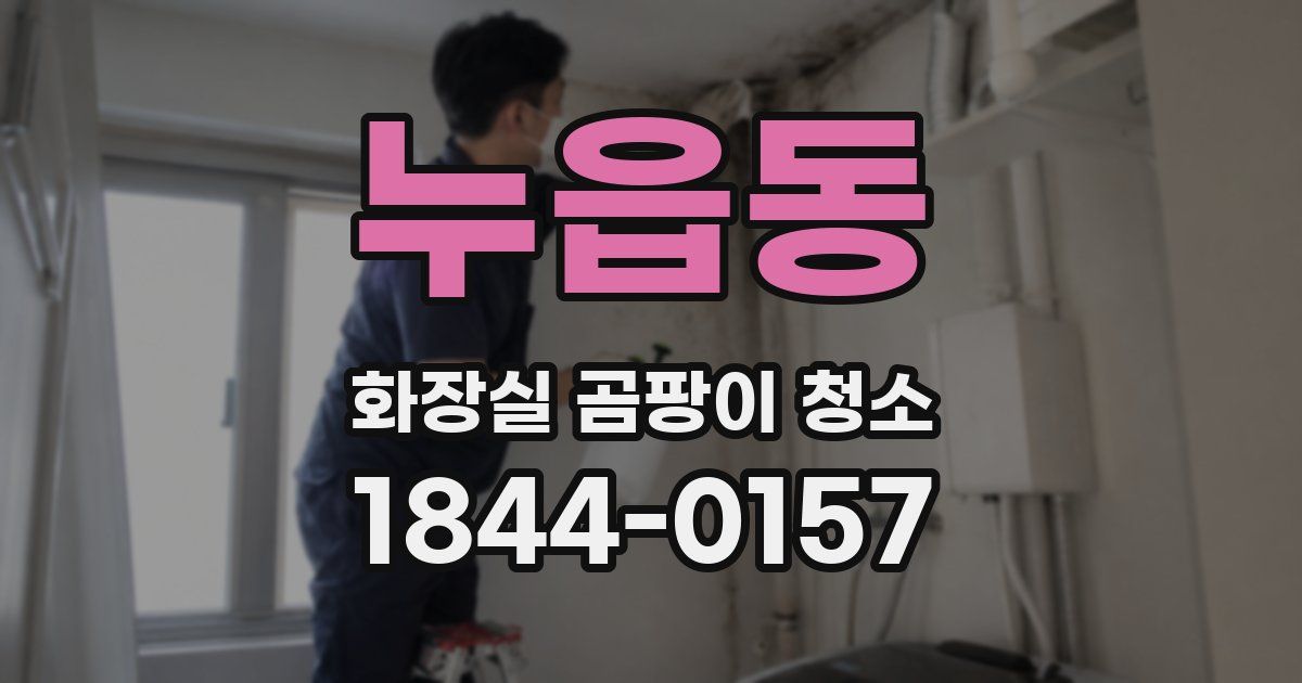 누읍동 화장실 곰팡이 청소