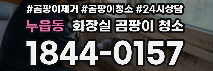 누읍동 화장실 곰팡이 청소