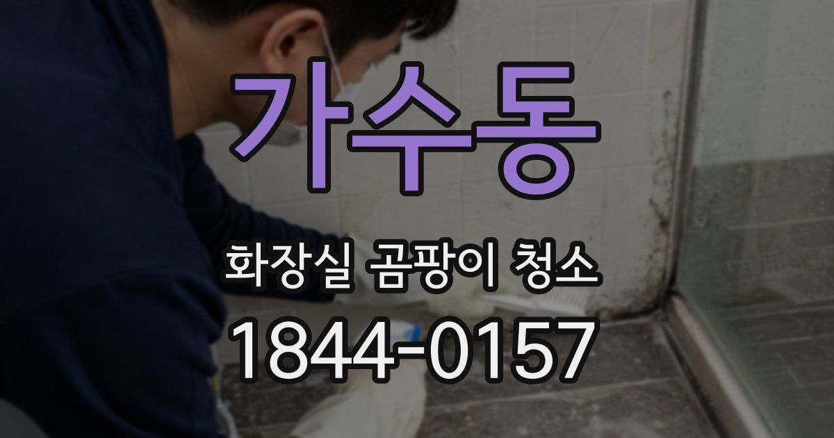 가수동 화장실 곰팡이 청소