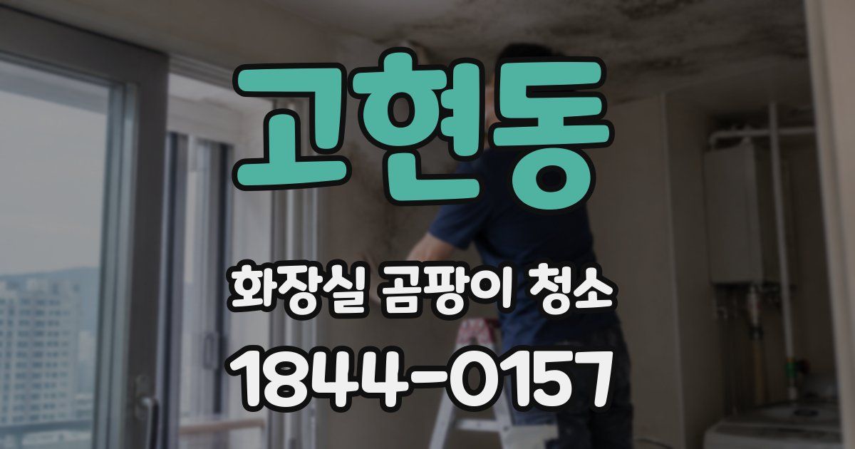 고현동 화장실 곰팡이 청소