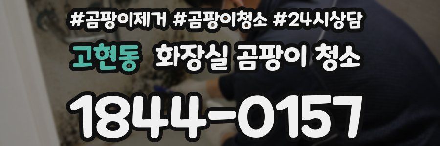고현동 화장실 곰팡이 청소