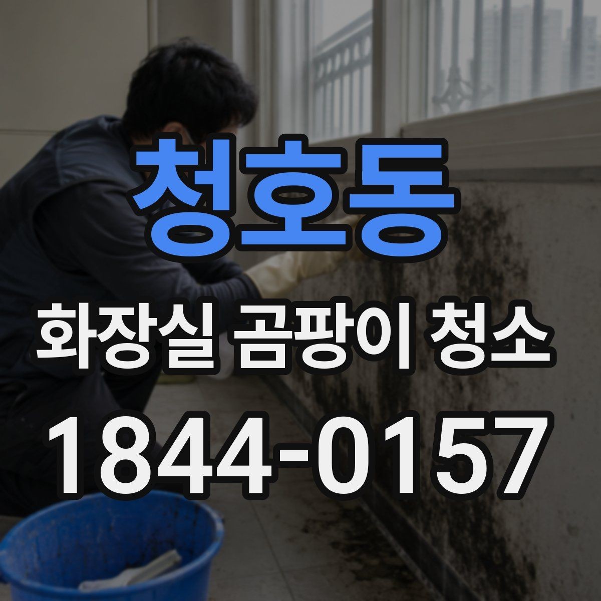 청호동 화장실 곰팡이 청소 세제 선택 전에 함께 보면 좋은 점
