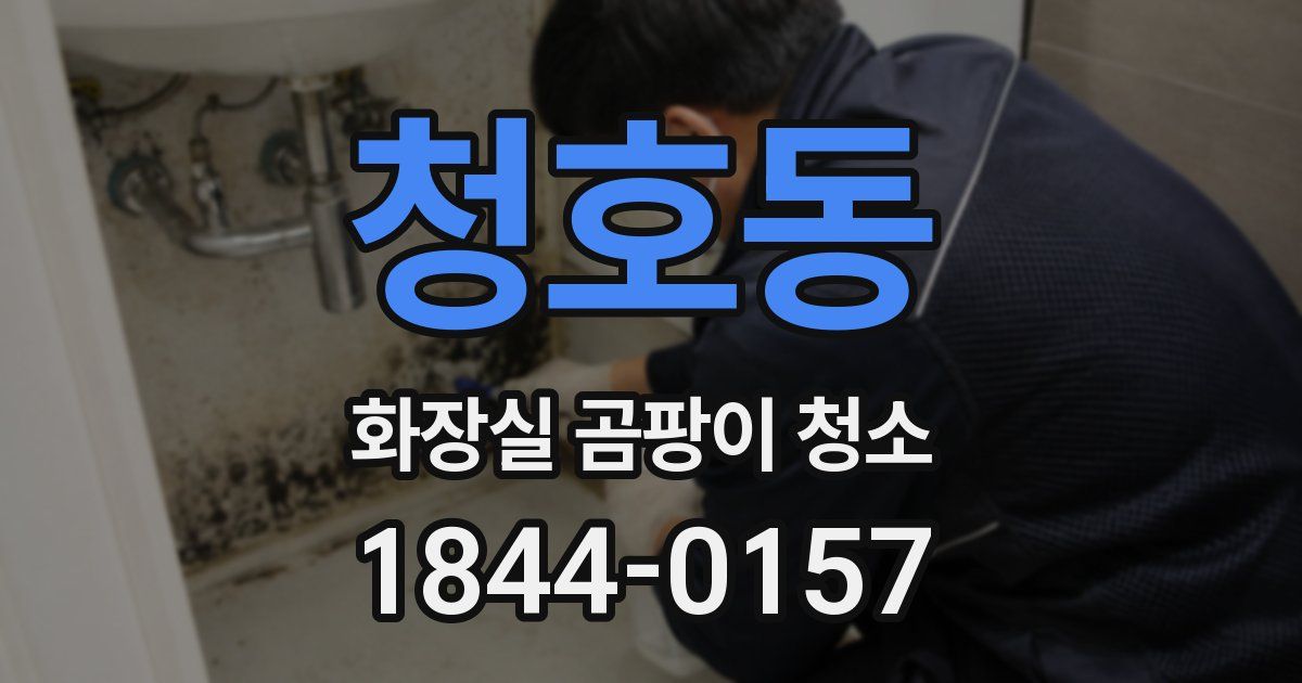 청호동 화장실 곰팡이 청소