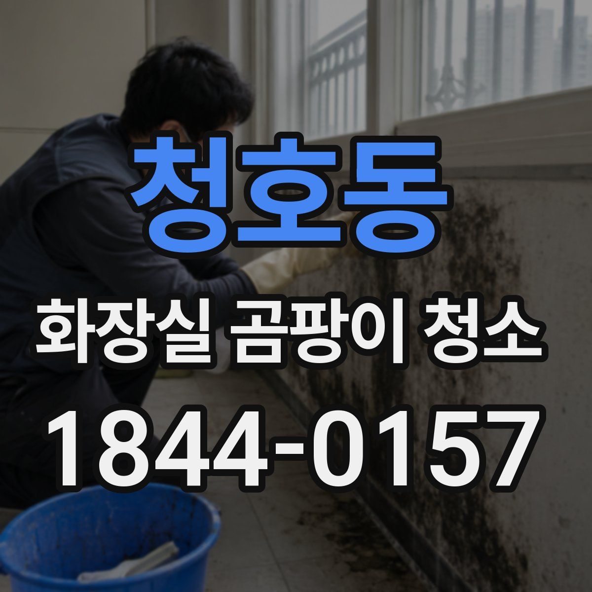 청호동 화장실 곰팡이 청소