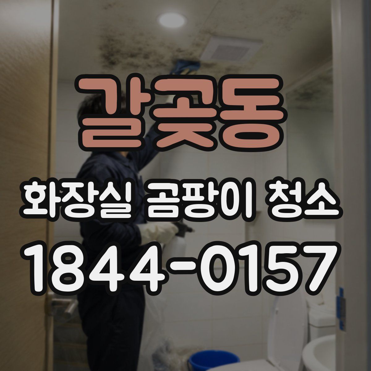 갈곶동 화장실 곰팡이 청소