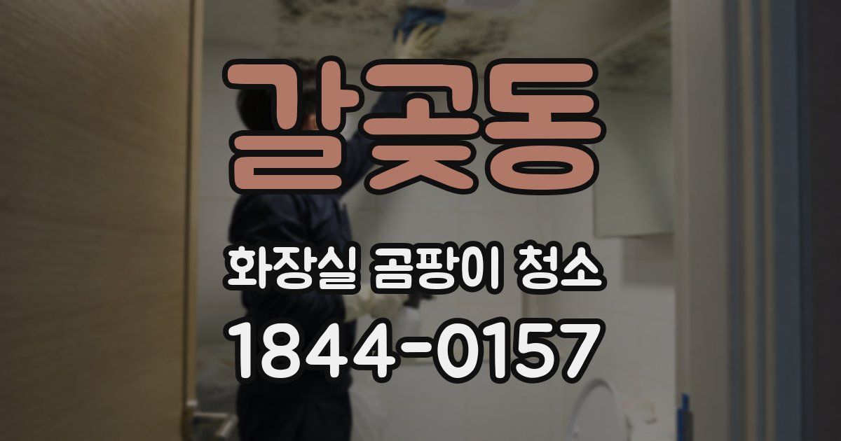 갈곶동 화장실 곰팡이 청소