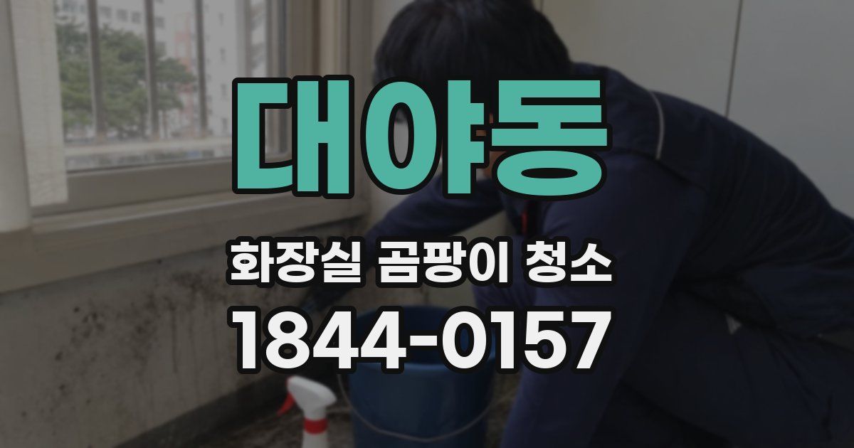 대야동 화장실 곰팡이 청소