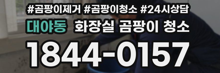 대야동 화장실 곰팡이 청소