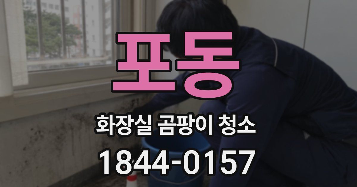 포동 화장실 곰팡이 청소