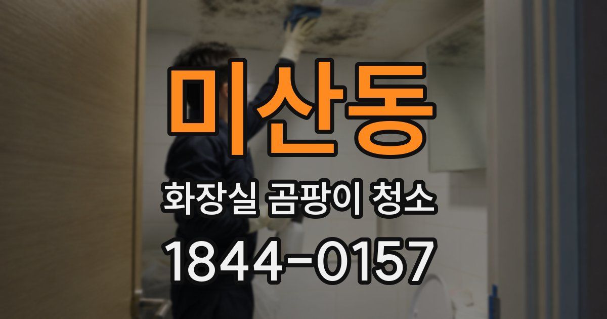 미산동 화장실 곰팡이 청소