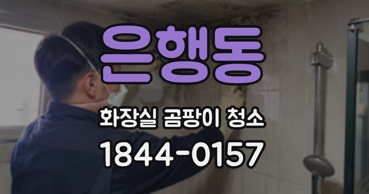 은행동 화장실 곰팡이 청소
