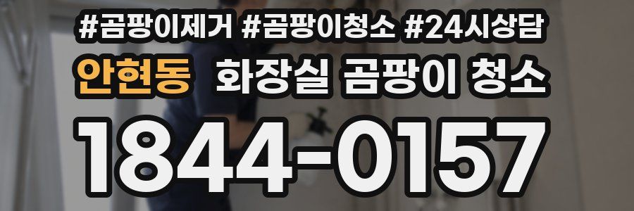 안현동 화장실 곰팡이 청소