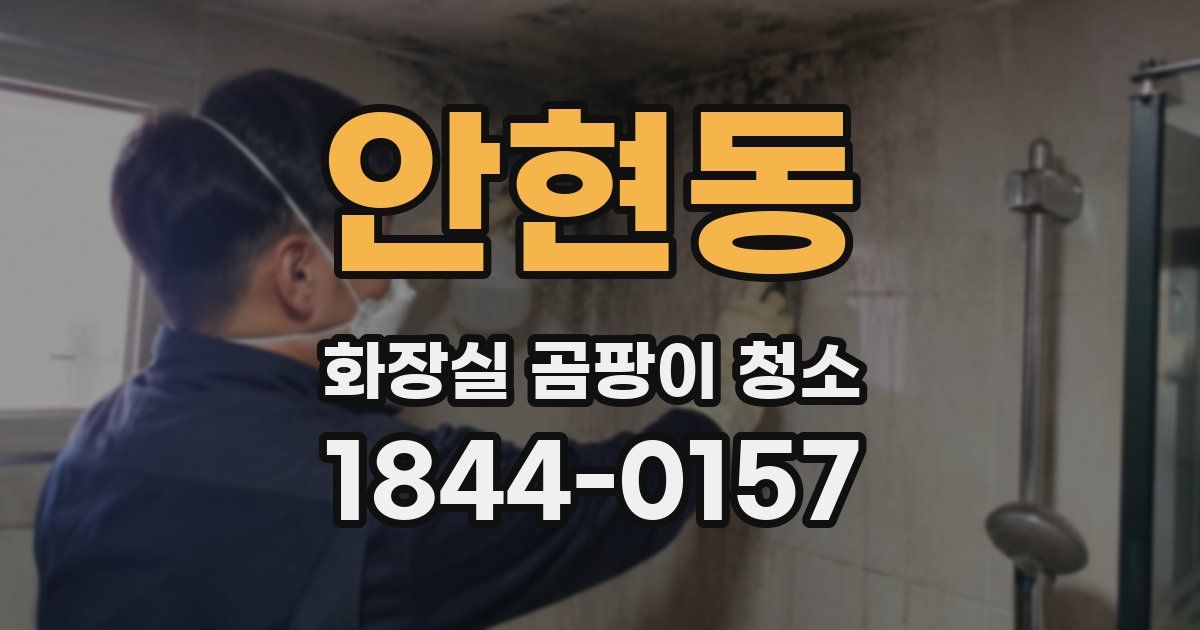 안현동 화장실 곰팡이 청소