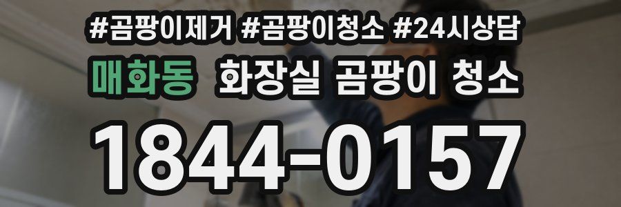 매화동 화장실 곰팡이 청소