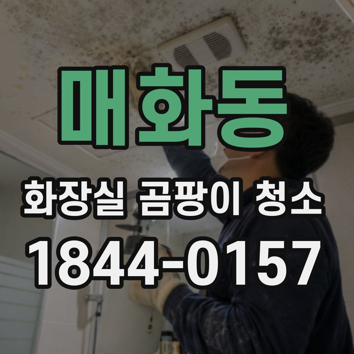 매화동 화장실 곰팡이 청소