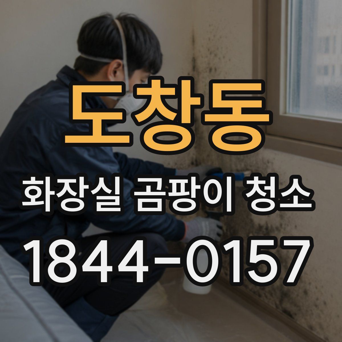 도창동 화장실 곰팡이 청소