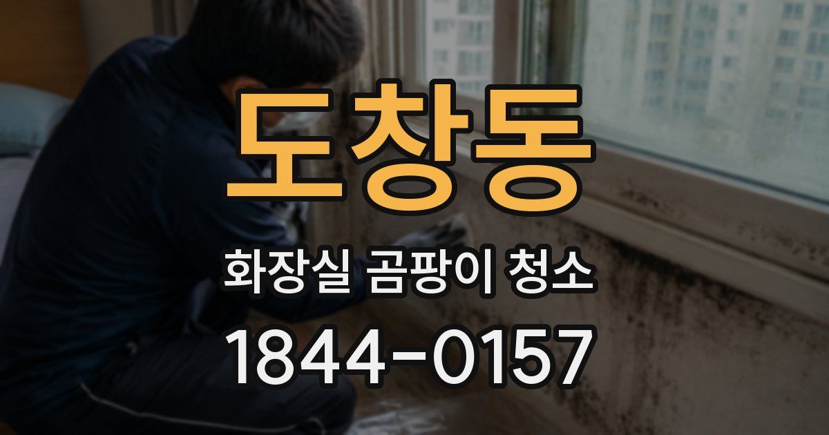 도창동 화장실 곰팡이 청소