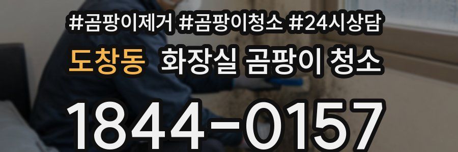 도창동 화장실 곰팡이 청소
