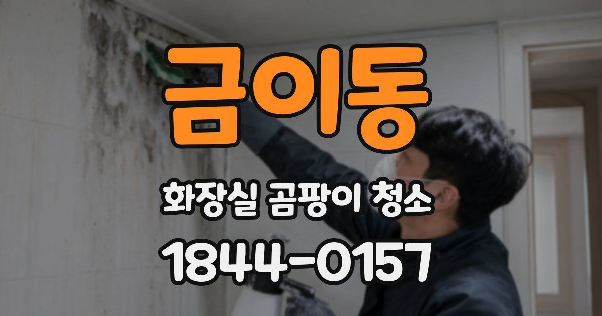 금이동 화장실 곰팡이 청소