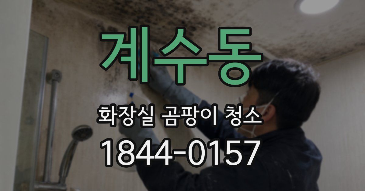 계수동 화장실 곰팡이 청소
